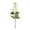 Blomkvist Syrén Vit 60 Cm - Konstväxt
